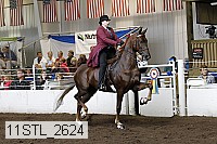 11stl_2624 thumbnail