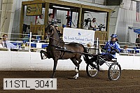 11stl_3041 thumbnail