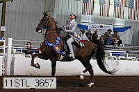 11stl_3657 thumbnail