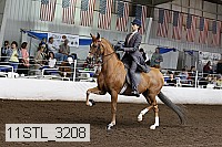 11stl_3208 thumbnail