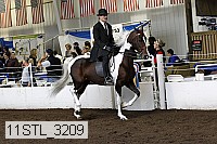 11stl_3209 thumbnail