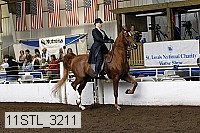 11stl_3211 thumbnail