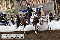 11stl_3212 thumbnail