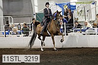 11stl_3219 thumbnail