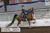 11stl_3221 thumbnail
