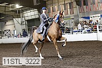 11stl_3222 thumbnail