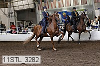 11stl_3282 thumbnail
