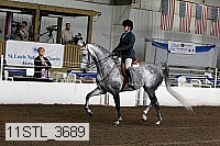 11stl_3689 thumbnail