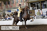 11stl_3925 thumbnail