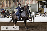 11stl_3926 thumbnail