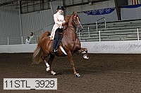 11stl_3929 thumbnail