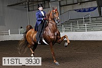 11stl_3930 thumbnail