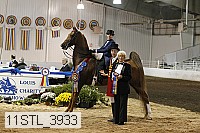11stl_3933 thumbnail
