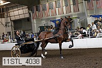 11stl_4038 thumbnail