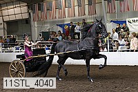 11stl_4040 thumbnail