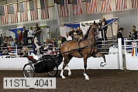 11stl_4041 thumbnail