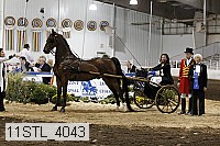 11stl_4043 thumbnail