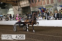 11stl_4256 thumbnail
