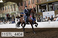 11stl_4404 thumbnail