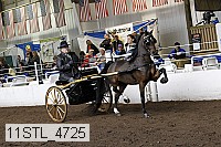 11stl_4725 thumbnail