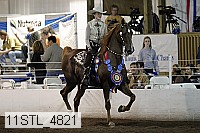 11stl_4821 thumbnail
