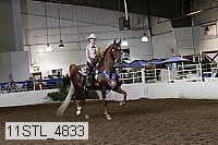 11stl_4833 thumbnail