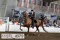 11stl_4979 thumbnail