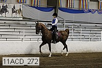 11acd_272 thumbnail