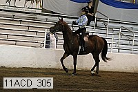 11acd_305 thumbnail