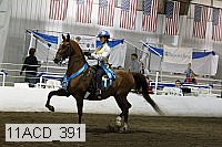 11acd_391 thumbnail