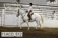 11acd_512 thumbnail