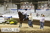 11acd_116 thumbnail
