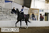 11acd_120 thumbnail