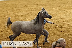 11usn_27837 thumbnail