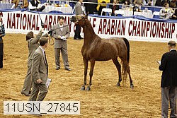 11usn_27845 thumbnail