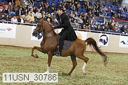 11usn_30786 thumbnail