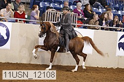 11usn_12108 thumbnail