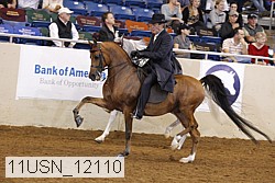 11usn_12110 thumbnail
