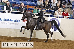 11usn_12113 thumbnail