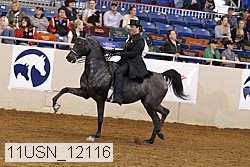 11usn_12116 thumbnail