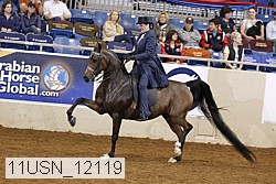 11usn_12119 thumbnail