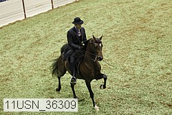 11usn_36309 thumbnail