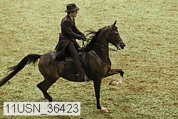 11usn_36423 thumbnail