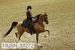 11usn_33272 thumbnail