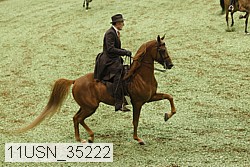 11usn_35222 thumbnail