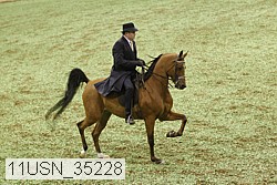 11usn_35228 thumbnail