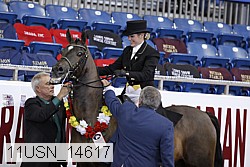 11usn_14617 thumbnail