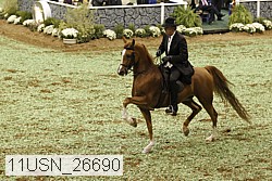 11usn_26690 thumbnail