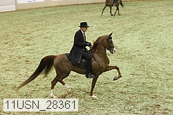 11usn_28361 thumbnail