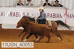 11usn_40053 thumbnail